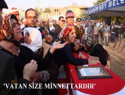 Yine yüreğimiz dağlandı..